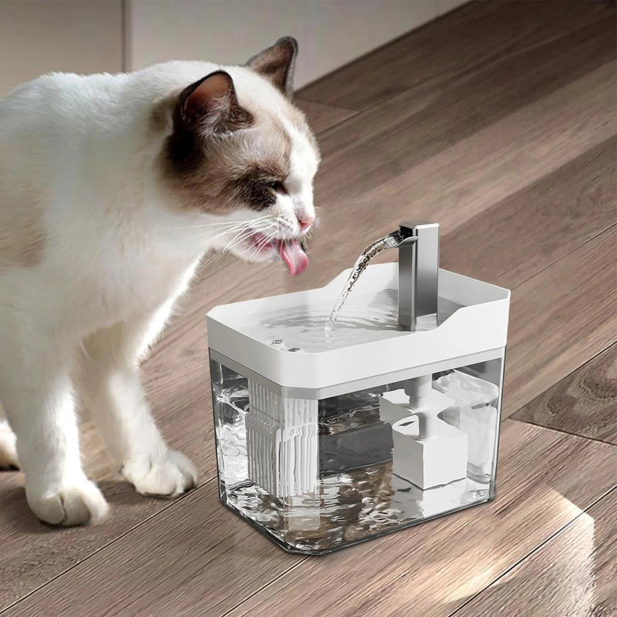 1500 ml circulating pet water fountain with open 360-degree rim
