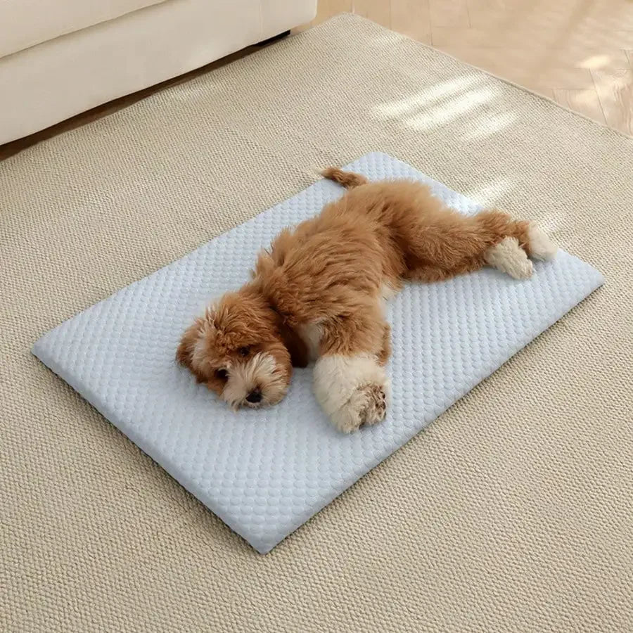 Non-slip base of the cooling sponge pet bed