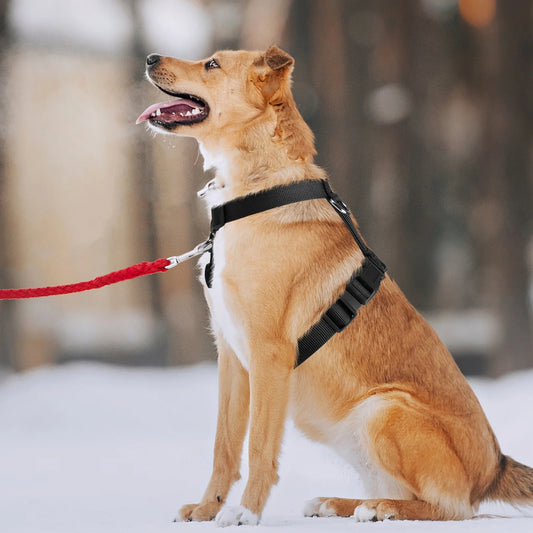 No Pull Dog Harness Soft Basic Nylon Adjustable Dog Vest Easy Walking Harness