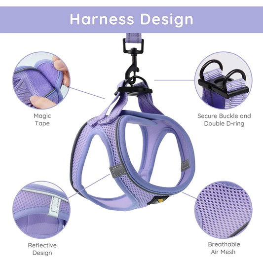 Step-in harness laid flat showing hook-and-loop closure and buckle