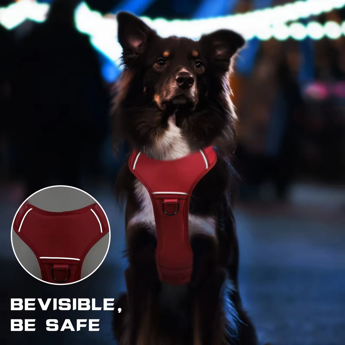 Tactical-style dog harness in 1000D nylon with a top control handle