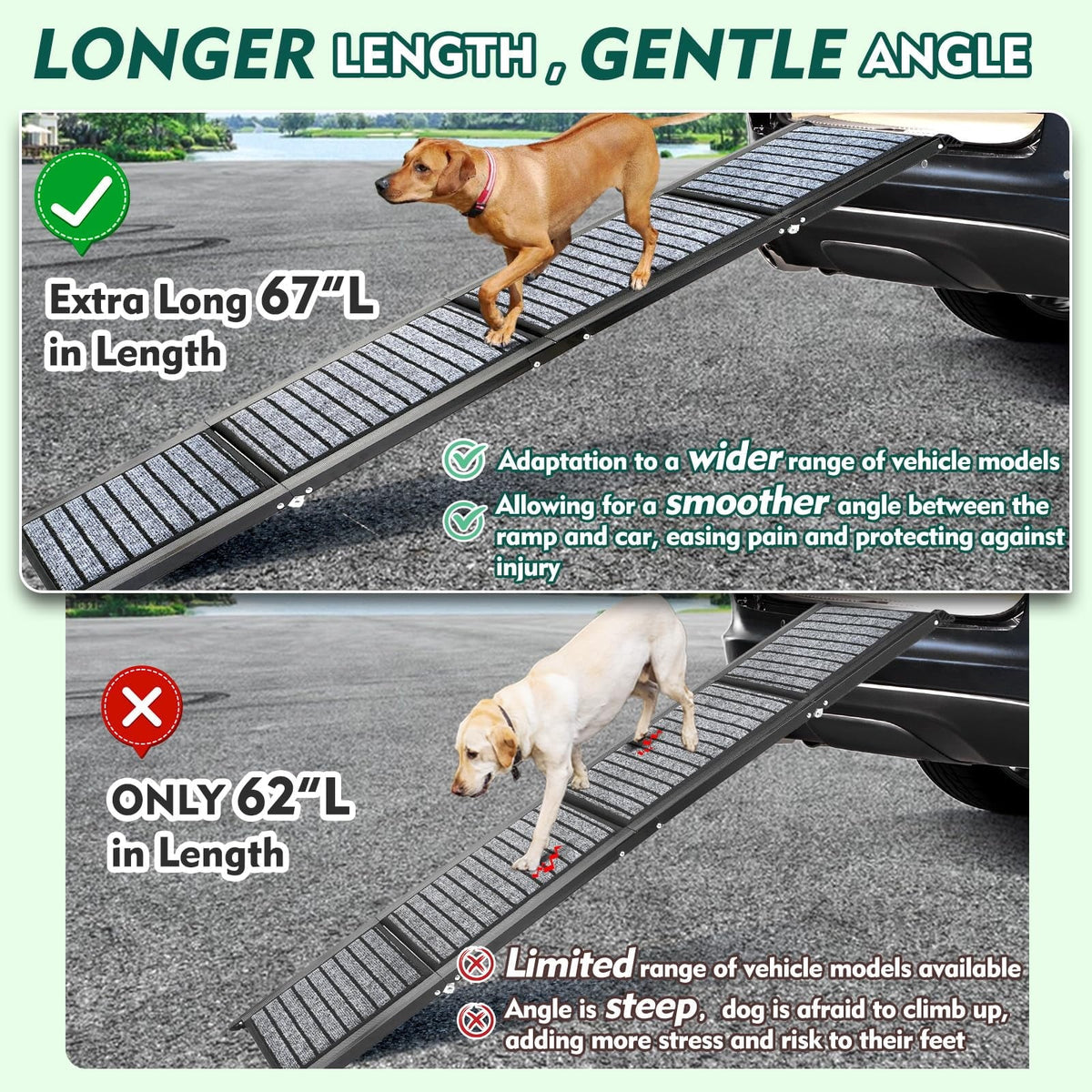 Ramp folded four ways with carry handle