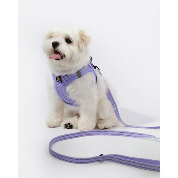 Puppy Harness and Leash Set,Reflective Adjustable Dog Harness for Small Dogs No Pull,Step in Soft Mesh Harness for Small and Medium Dogs,Purple Lavender,S
