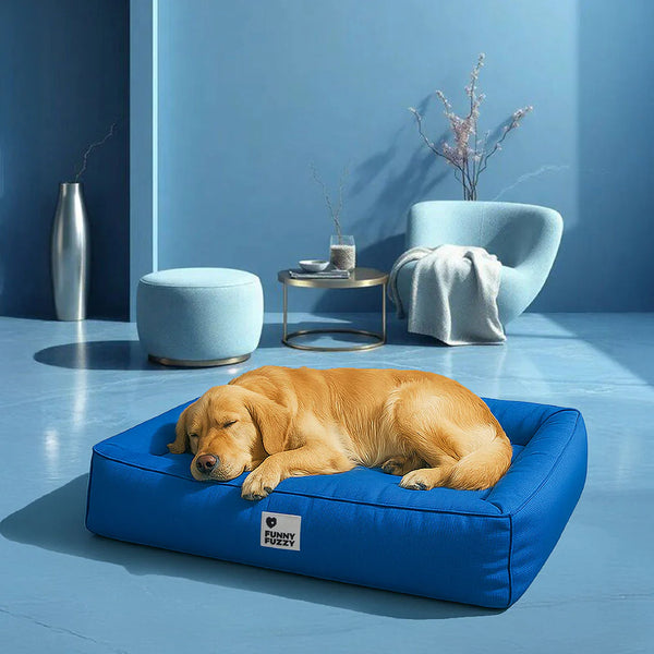 Waterproof fully enclosed dog bed with raised bolstered edges