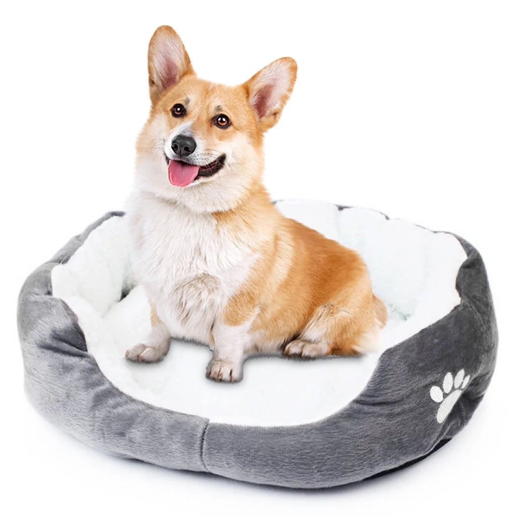 Small dog curled up in the donut bed