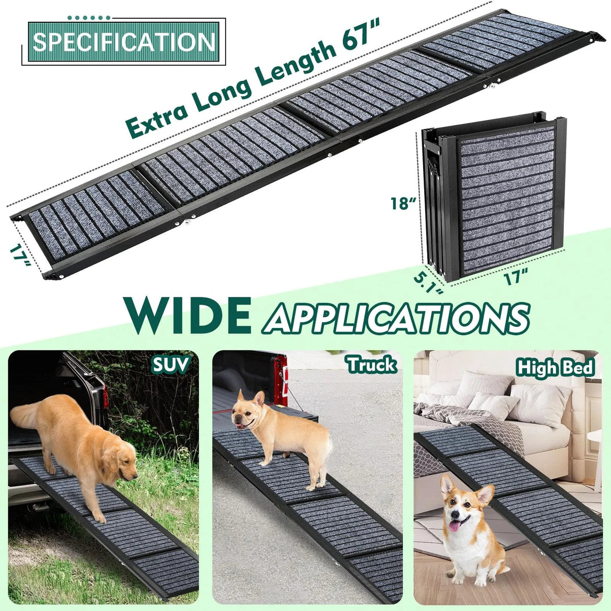 Dog walking up the ramp into an SUV