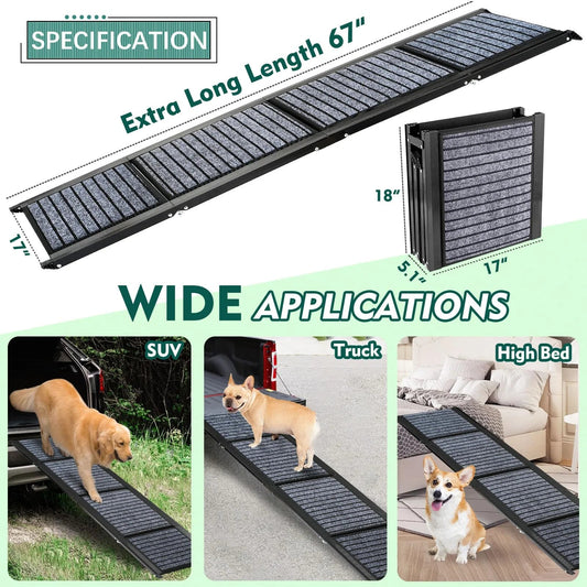 Dog walking up the ramp into an SUV