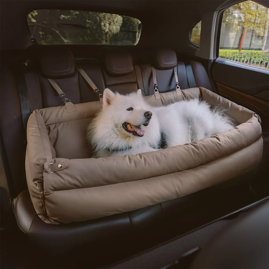Booster bed with seat belt threaded through the belt slots
