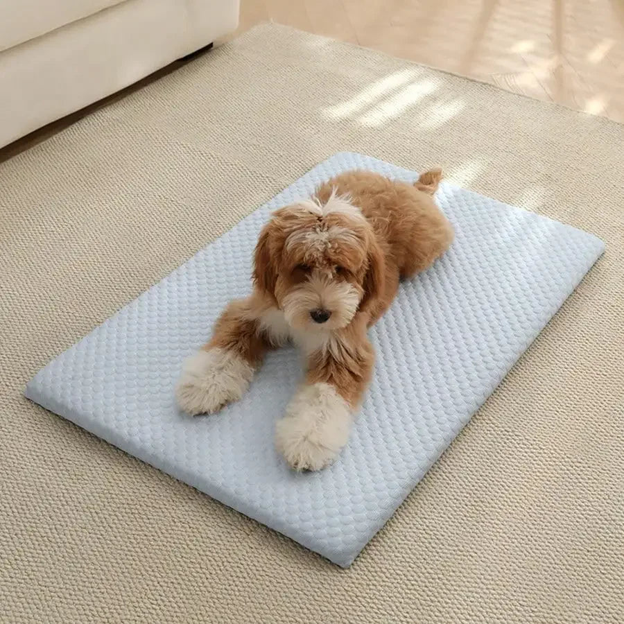 Thick sponge padding of the cooling pet bed