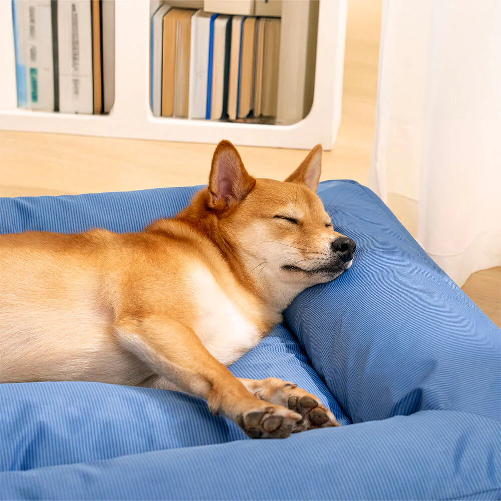 Waterproof dog bed shell shedding water