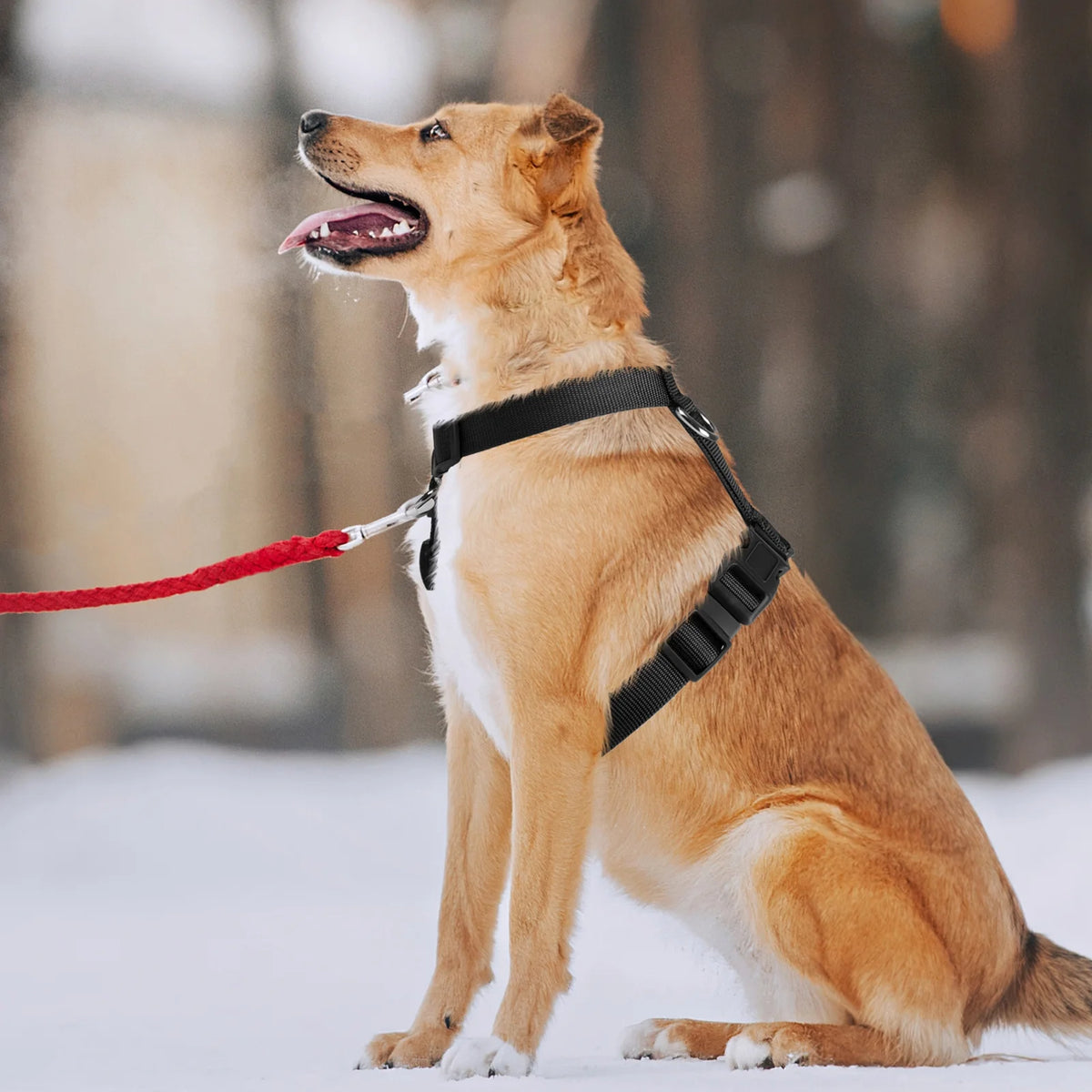 No Pull Dog Harness Soft Basic Nylon Adjustable Dog Vest Easy Walking Harness